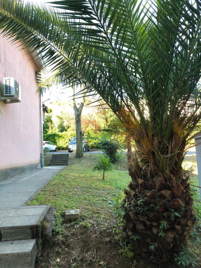 Apartmajsko Naselje Zusterna Apartman Koper városi község Kültér fotó